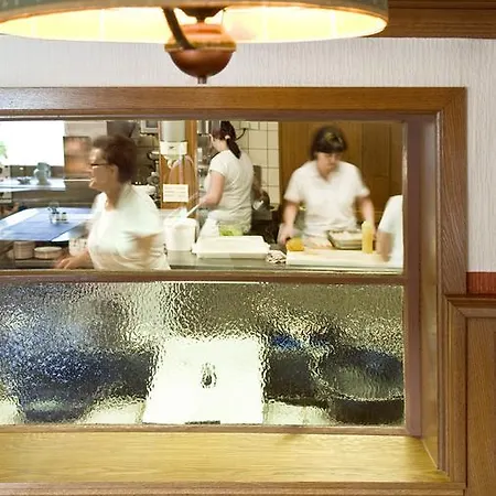 Hotel Landgasthof Zur Schönen Wienerin 3*