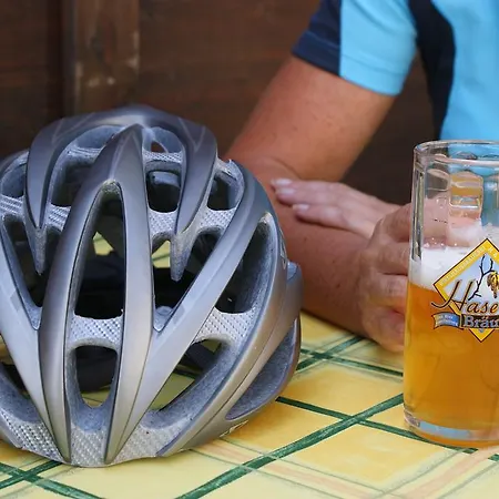 Hotel Landgasthof Zur Schoenen Wienerin 3*