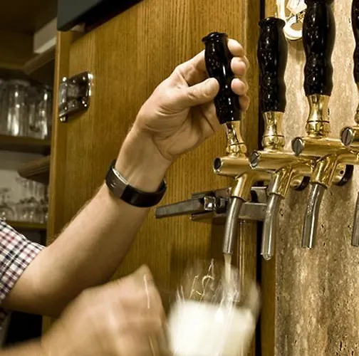 Landgasthof Zur Schoenen Wienerin מלון 3*