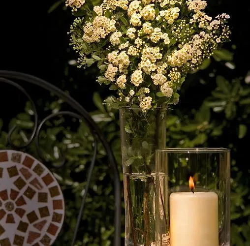 Landgasthof Zur Schoenen Wienerin Hotell