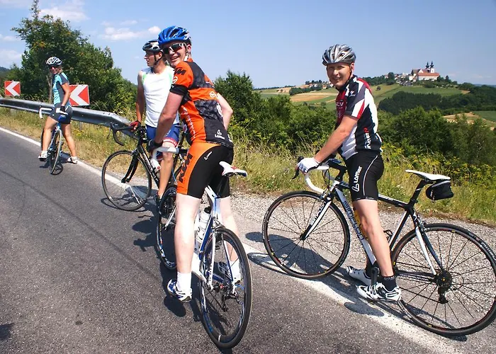 Landgasthof Zur Schoenen Wienerin 3* מרבאך אן דר דונאו