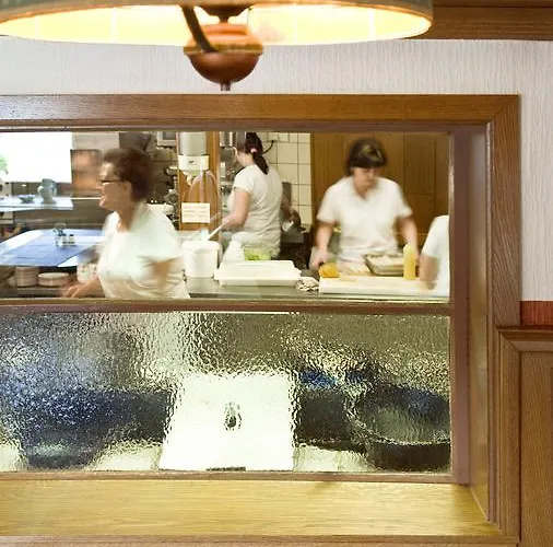 Hotell Landgasthof Zur Schoenen Wienerin 3*