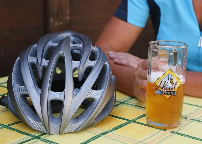 Hotell Landgasthof Zur Schoenen Wienerin 3*